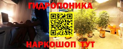 mdma Кизилюрт