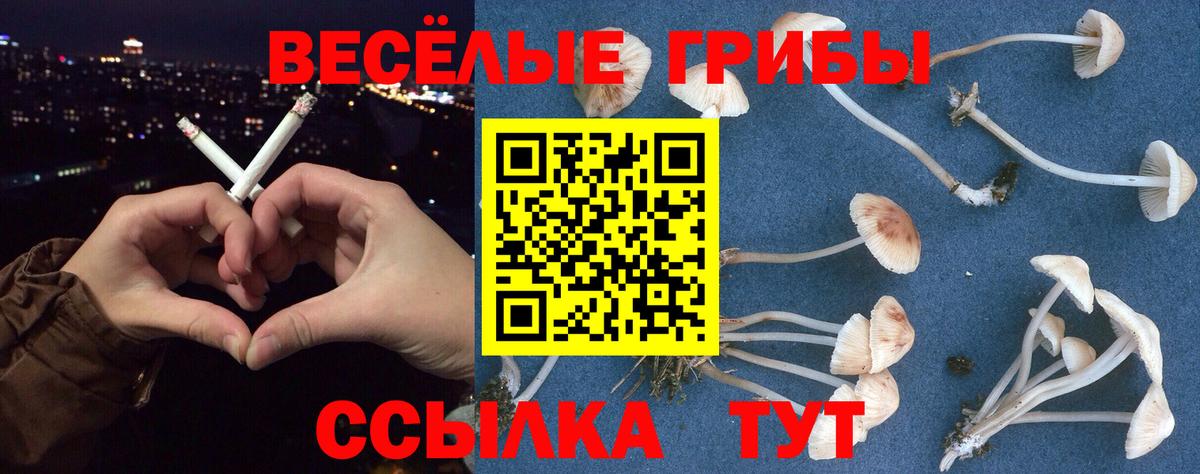 Куйбышев  Галлюциногенные грибы GOLDEN TEACHER  Вход с VPN 